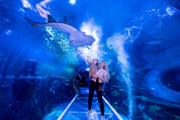 National Sea Life Centre Entrance Ticket