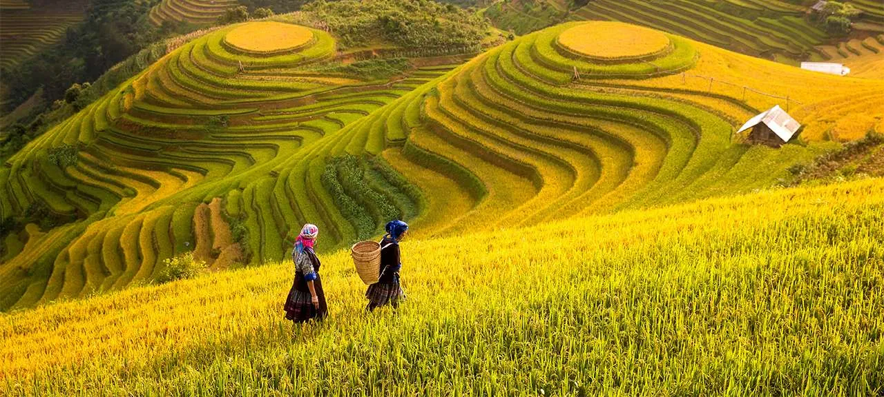 Vietnam